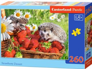 Obrázek z Puzzle ježek 260 dílků 